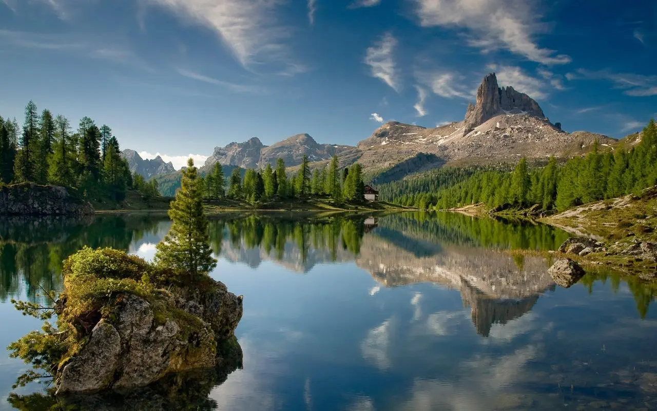 高标准网络化全自动